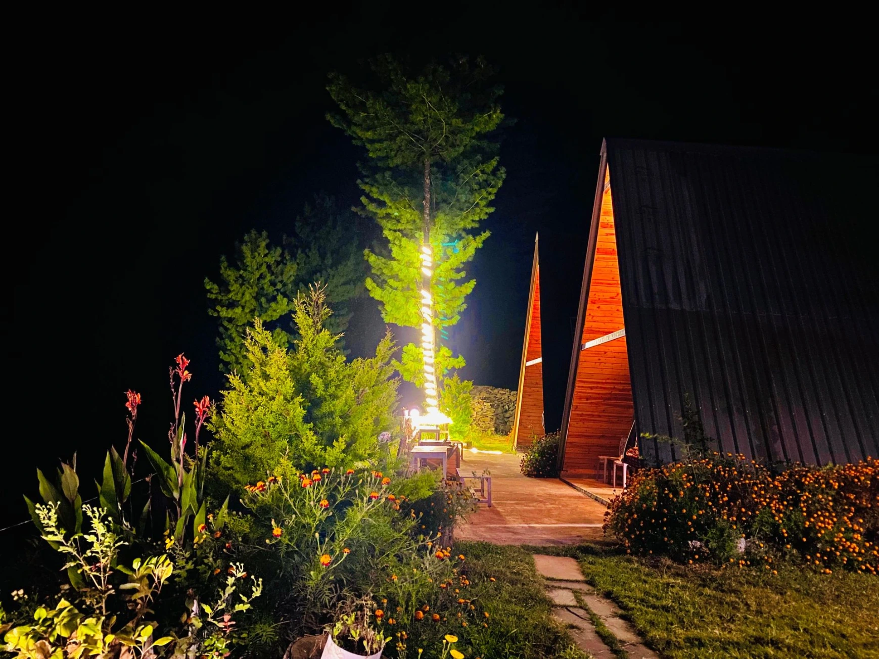 Mountain view from A-frame cottage in Jibhi Himachal