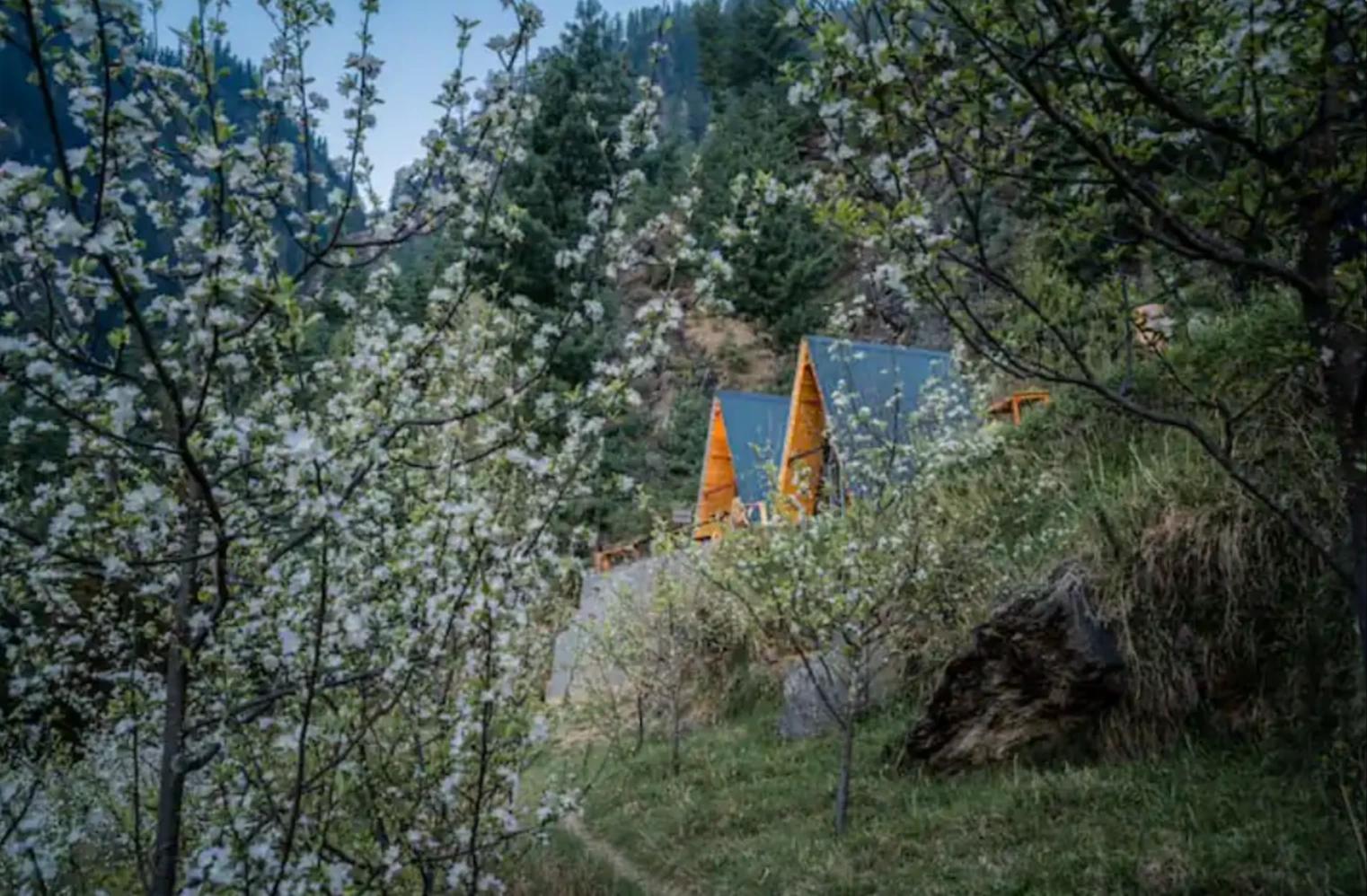 Mountain view from A-frame cottage in Jibhi