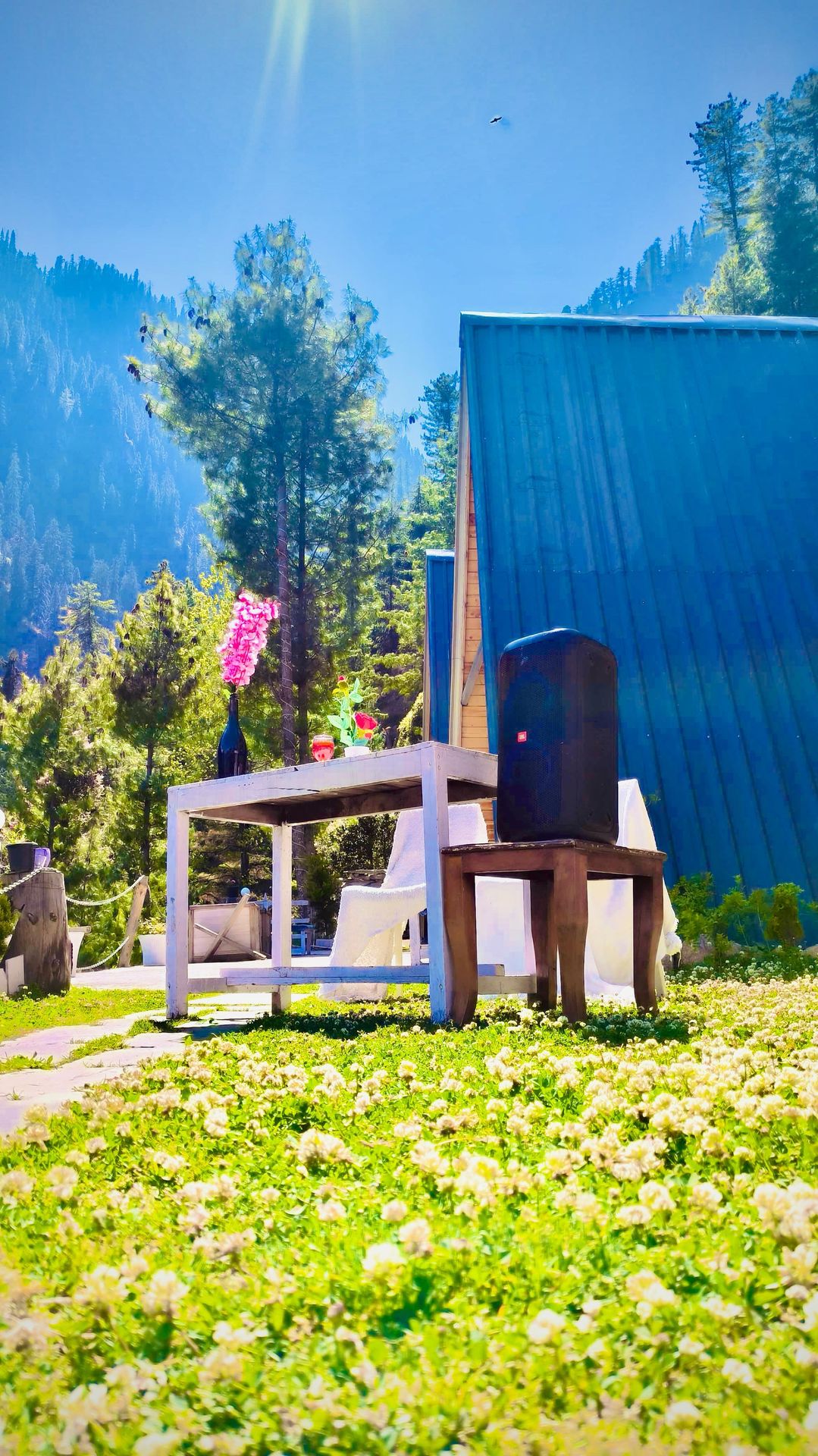 Luxury A-frame cottage in Jibhi at Nirvana Tandi