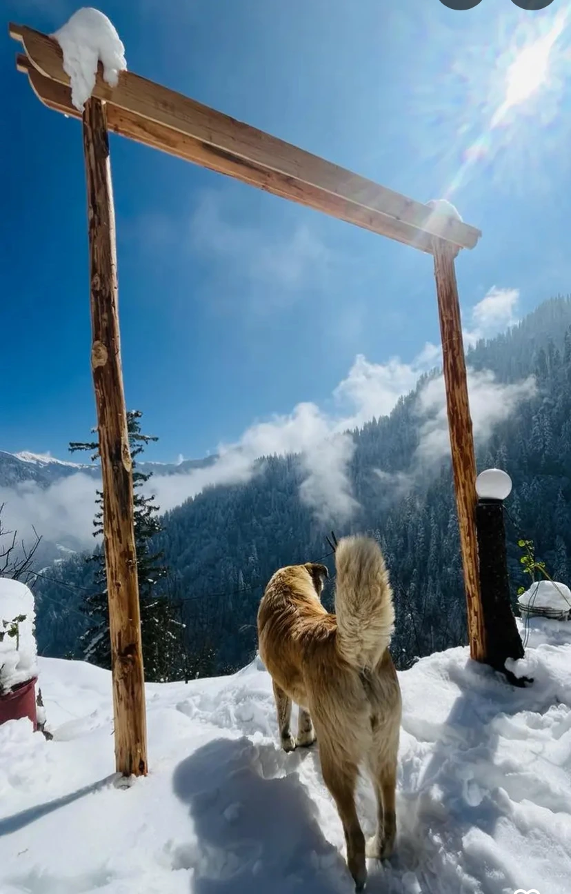 Restored two-room cottage in Jibhi at Nirvana Tandi