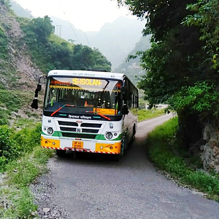Road leading to Nirvana Tandi Homestay in Jibhi