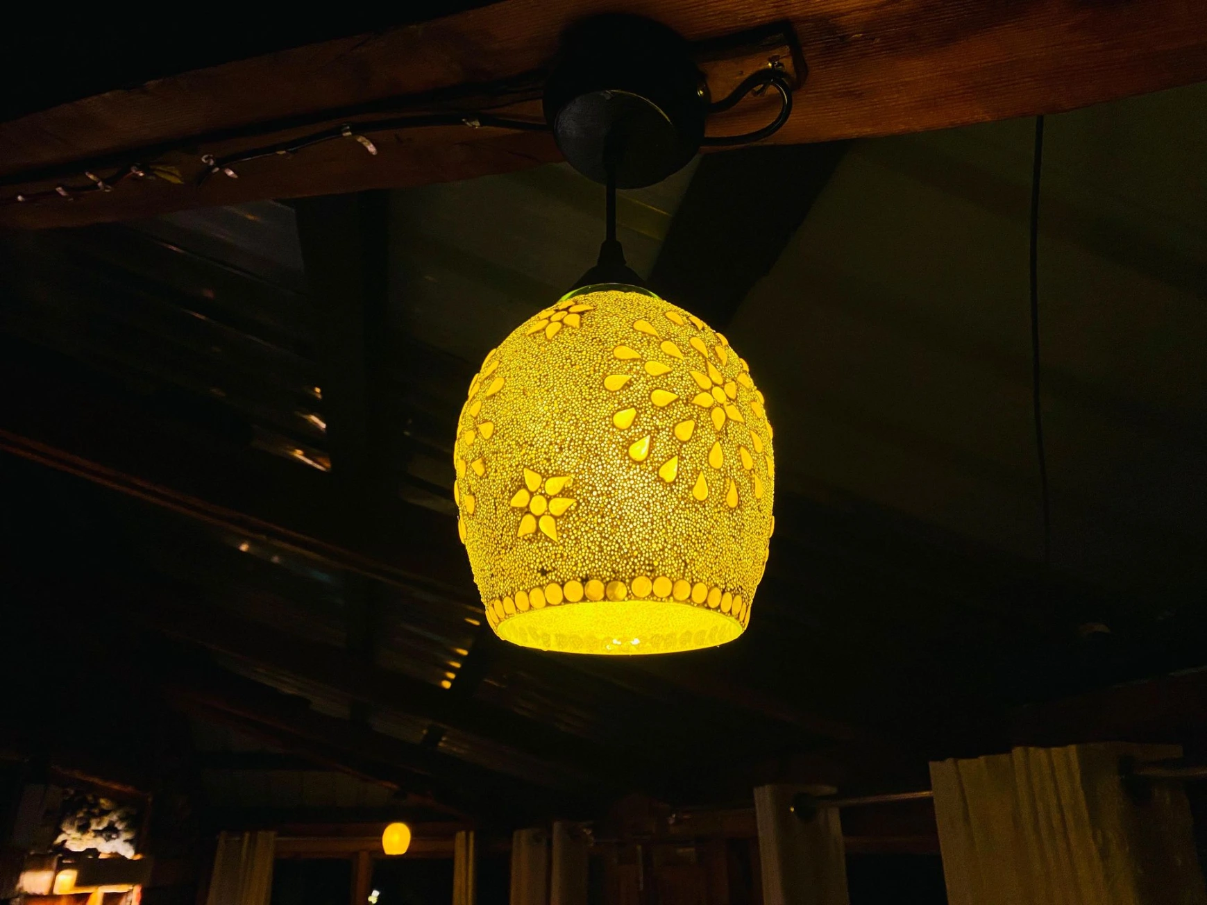 Natural forest surroundings near Nirvana Tandi Jibhi