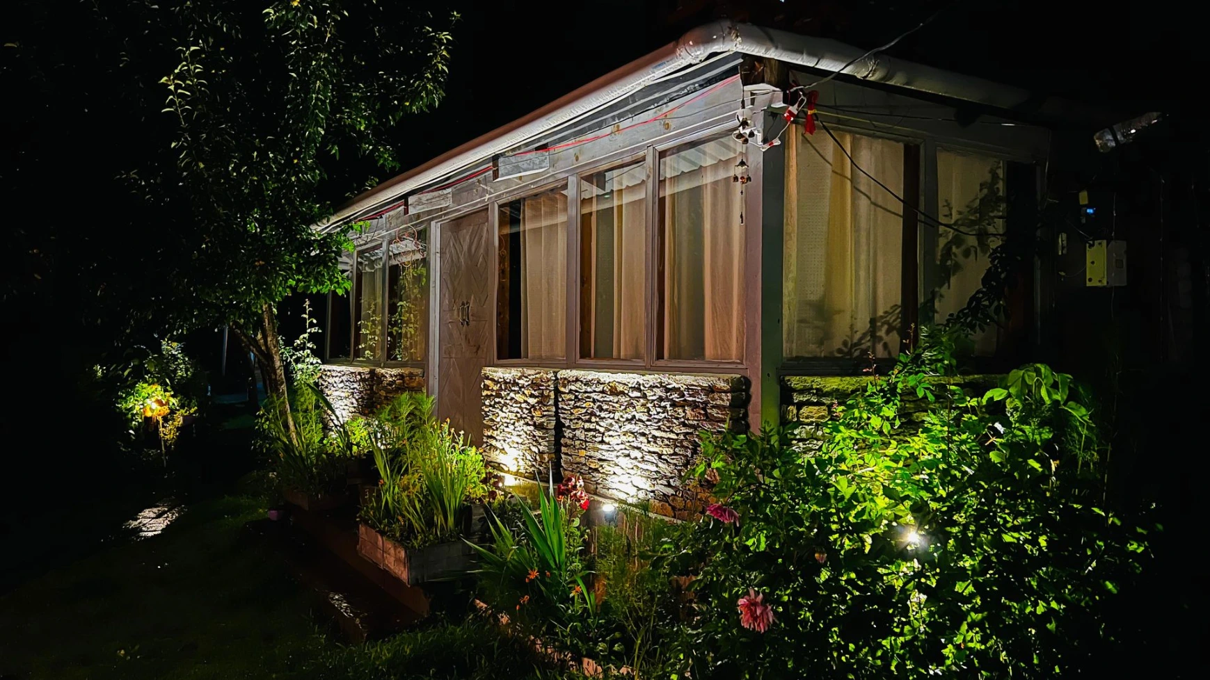 Natural forest surroundings near Nirvana Tandi Jibhi