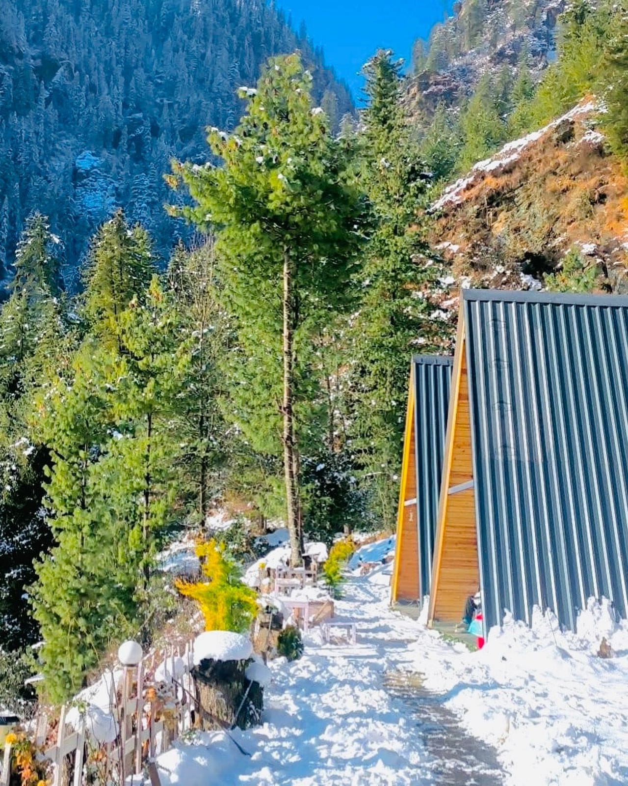 nirvana tandi winters