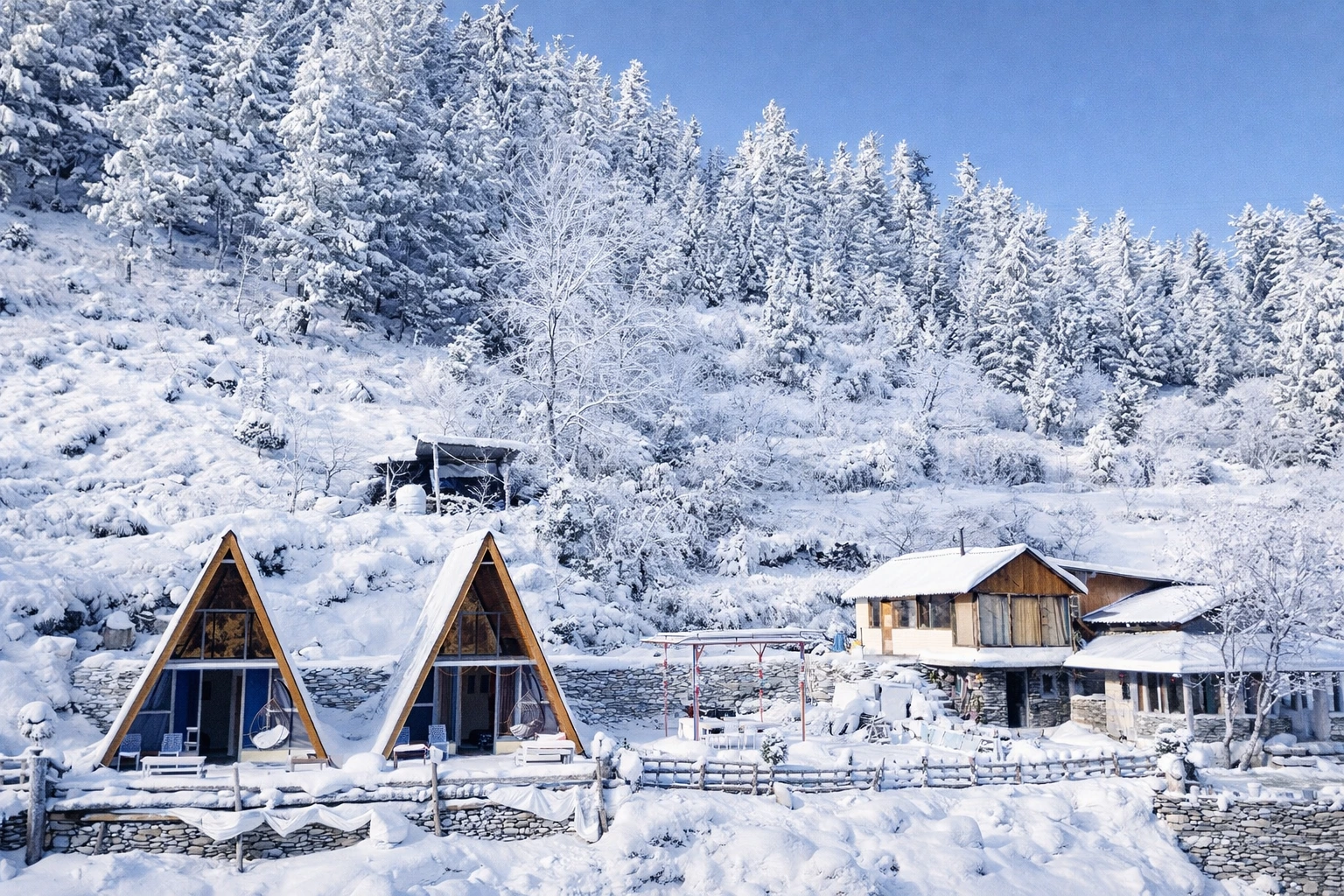 nirvana tandi winters