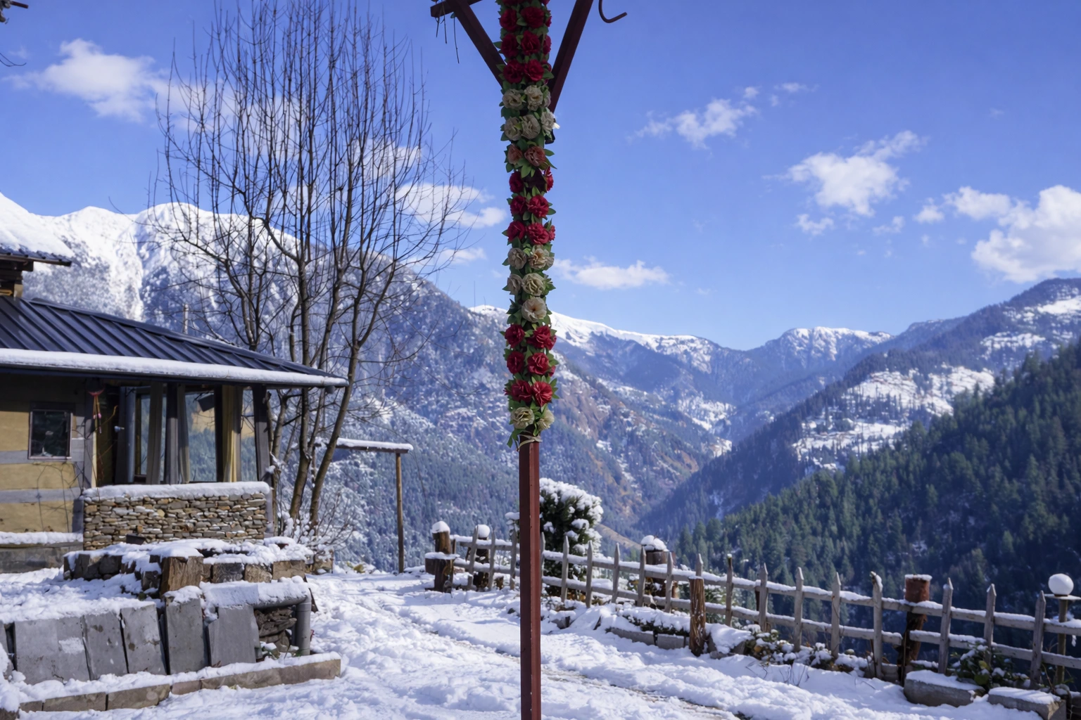 nirvana tandi winters