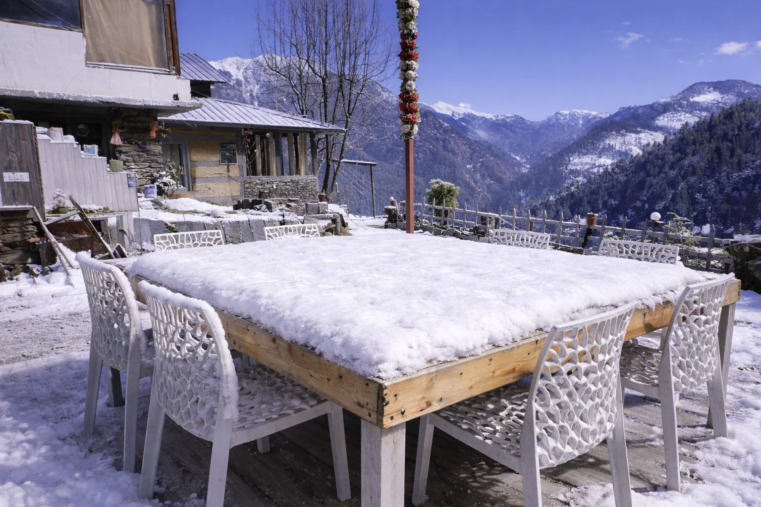 nirvana tandi winters